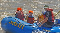 Colorado River Rafting: Afternoon Half-Day at Fisher Towers 