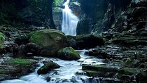 Shared Hidden Valley Tour from Manila