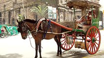 Private Half-Day Shore Excursion Old Manila by Calesa