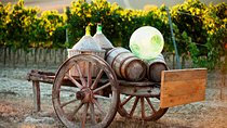Chianti Classico, Montalcino, Montepulciano by minivan: Wine Tastings & Lunch
