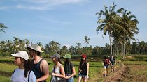 Trekking and Sightseeing tour with lunch 