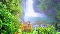 Day trip DOKA Coffee Plantations & La paz Waterfall Gardens 