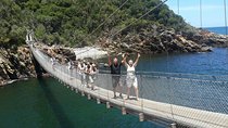 Cape2Addo Safari Adventure (8days)