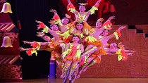 Acrobatics show tickets (Private transportation included)