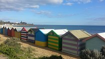 Custom Private Day Tour Melbourne to all surrounding areas for up to 11 people