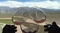Private Tour: Lujan de Cuyo Wine Region from Mendoza