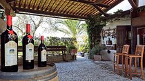 Semi Private Organic Wine & Food Tasting Tour (From Nice)