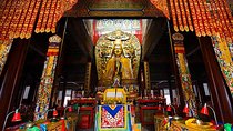 Half Day Tour To Lama Temple and Confucius Temple in Beijing