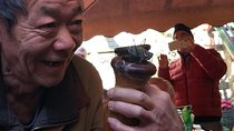 Private Hutong Culture Tour with Dumpling Cooking Class plus Cricket Fighting Game