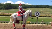 Horse show, lunch, carriage ride, Palace visit private near Bp 
