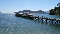 Full-Day Marlborough Catamaran Cruise with Wine Tour and Lunch
