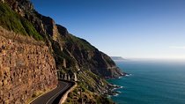 Private Cape Peninsula + Kirstenbosch Garden Full Day Guided Tour