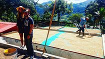 Guatape coffee tour express colombia