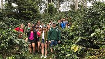 coffee express & exotic fruit Market Medellin