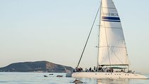 Day Catamaran Trip: Cap des Freus and Llevant Natural Park
