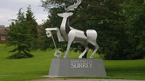 Private One Way or Round Trip Transfer: Heathrow Airport to Guildford