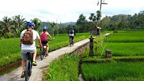 Half-Day Electric Cycling Tour of Ubud