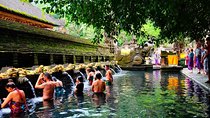 Half-Day Ubud Electric Cycling Tour to Tirta Empul Water Temple