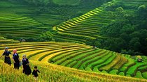 Sapa Trek Tours -2D1N Stay At 3*** -TRANSFER BY SLEEPING BUS