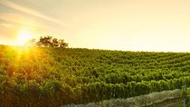 Great Wine Tour in Small Carpathian Hills
