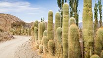 Excursion to Cachi & Calchaquies Valley from Salta