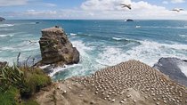 Coast to Coast Private Eco Tour