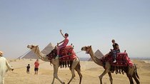 Full Day Visit Giza Pyramids With Camel Ride