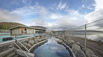 Golden Circle and Laugarvatn Fontana Private Tour from Reykjavik