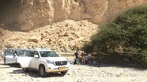 GoKEDEM Private Negev & Ramon Crater Adventure From Tel Aviv With Bedouin Feast
