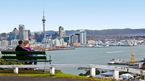 Half-Day Auckland City Guided Tour