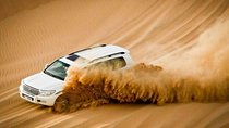 Evening Desert Safari Abu Dhabi with Dinner