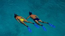 West Side Discovery Kayak & Snorkel Tour