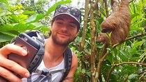 Sloth Discovery & Swim in Rio Celeste