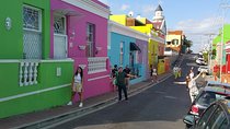 Ultimate Cape Point Tour from Cape Town - Full Day