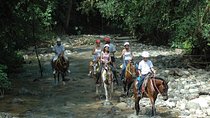 Explore Costa Rica on Horseback- Manuel Antonio tour