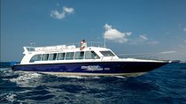 Blue Water Express Boat Transfer From Serangan Or Padang Bai To Lombok Or Vice Versa