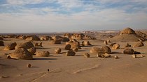 The Valley Of The Whales Two Days Tour From Hurghada With Camping