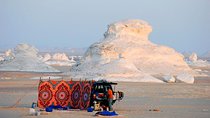 One Night Camping in White & Black Deserts (Baharaya Oasis)
