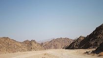 From Marsa Alam: All-in-One Super Desert Safari