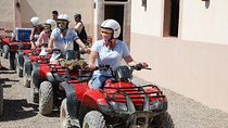 Super Buggy Safari