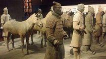 Private Day Trip Of Xi'an From Your Beijing's hotel Including Transfer Service