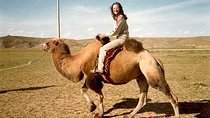 1 Day Coach Tour of Terelj National Park Including Lunch And Free Camel Ride