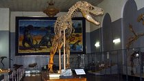 1 Day City Tour with All-Museum Private Tour With Free Admission