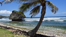 Explore and Discover Barbados By Land & By Sea 