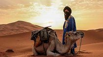 3D/2N Desert tour from Fez to Marrakesh (with small group)