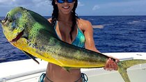 Fort Lauderdale Deep Sea Fishing Charters