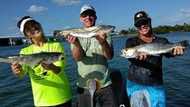 Miami Inshore Fishing Charters on Biscayne Bay