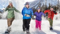 Snowshoeing Tour to the Paint Pots