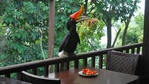 Kuala Lumpur Bird Park Admission Ticket with Private Pickup