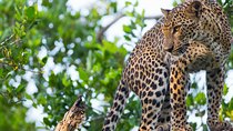 Day Excursions to Wasgamuwa National Park From Negombo